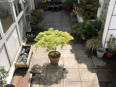 Picture 19